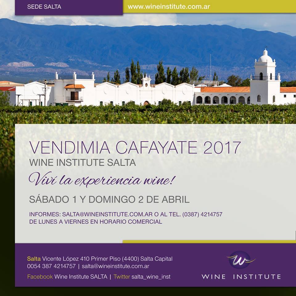 vendimia_cafayate_cosecha_wine_institute_salta